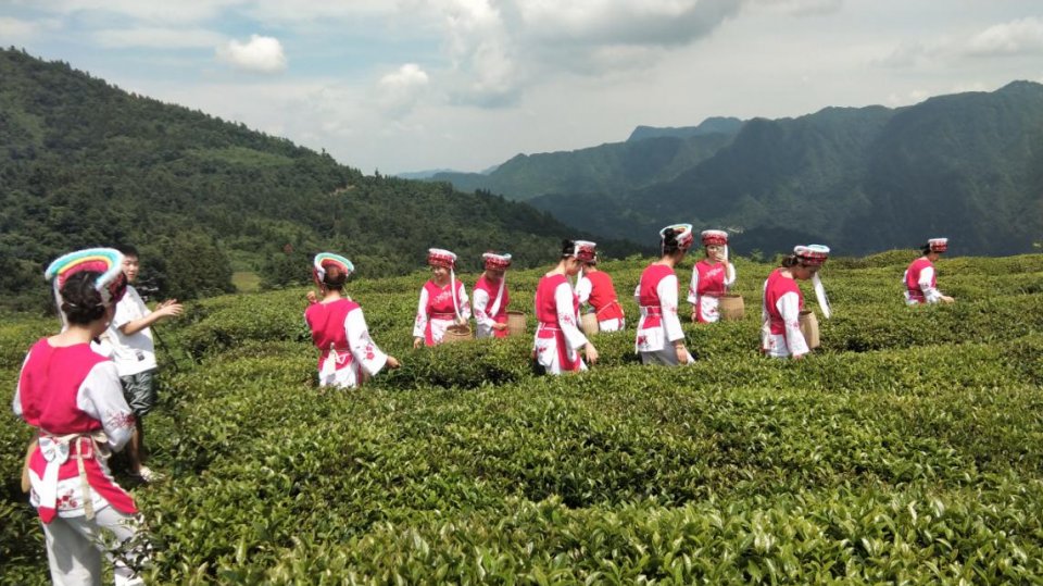 0NgfRdDD2f.jpeg 0NgfRdDD2f.jpeg