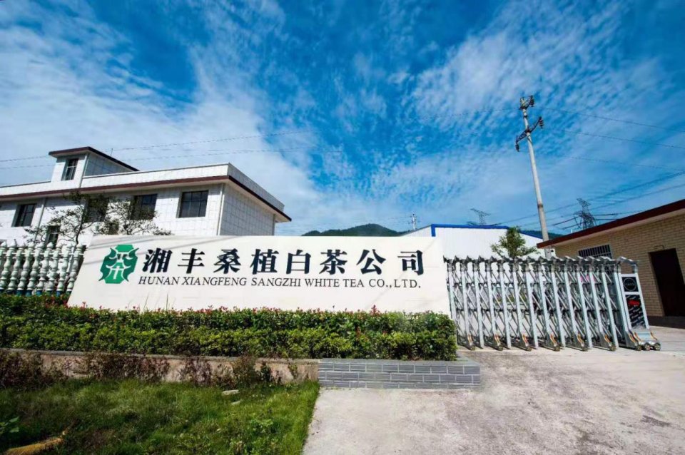 0NgfRd29YI.jpeg 0NgfRd29YI.jpeg