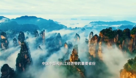  張家界被外交部全球推介，桑植白茶亮相冷餐招待會！ 