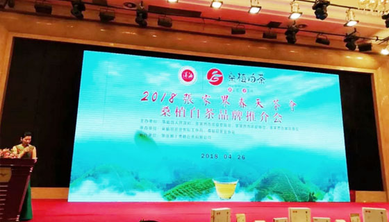 相約春天，湘豐桑植白茶正式發(fā)布 