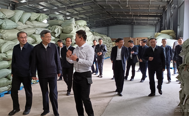 湖南省委常委、政法委書(shū)記李殿勛調(diào)研湖南湘豐桑植白茶有限公司