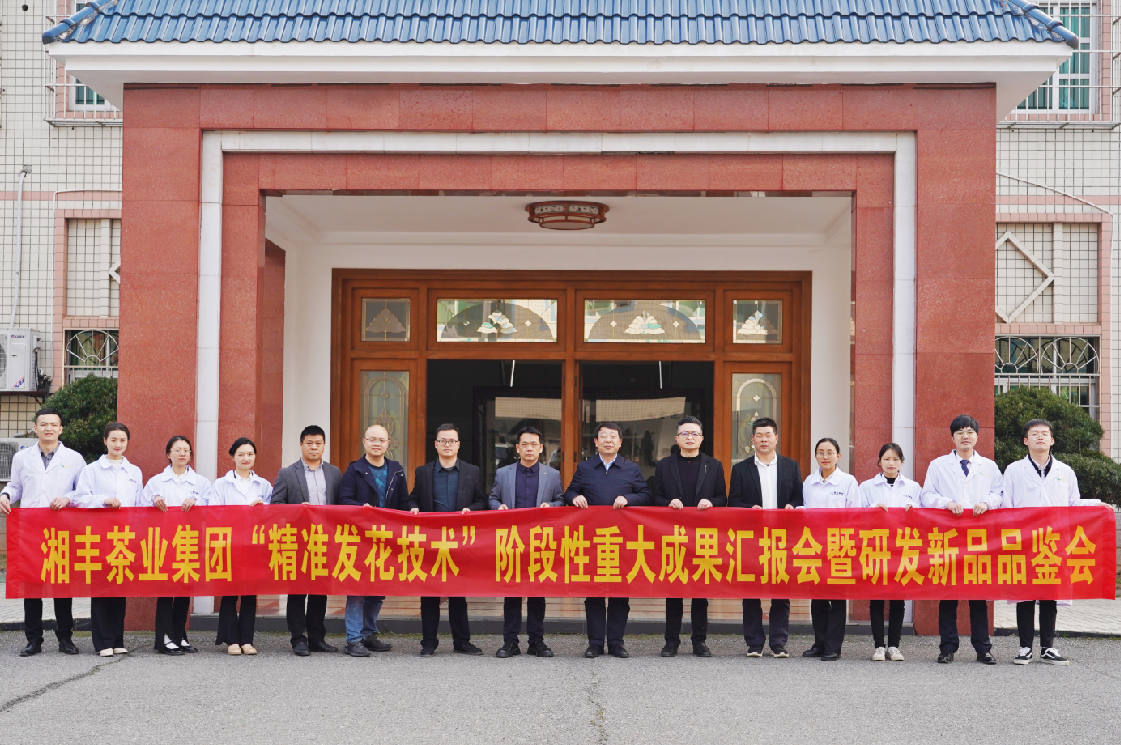 湘豐茶業(yè)集團“精準發(fā)花技術(shù)”取得重大階段性成果！