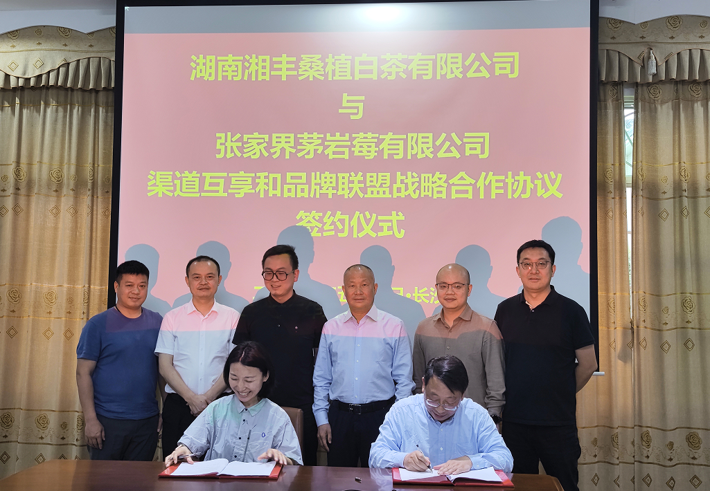 “白茶”“莓茶”牽手，品牌強(qiáng)強(qiáng)聯(lián)盟！