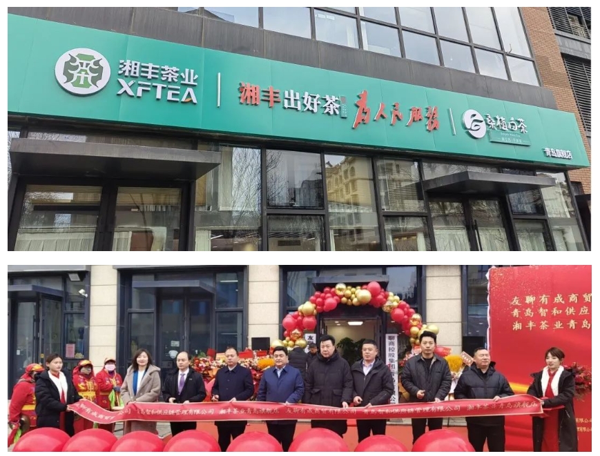 青島旗艦店盛大開業(yè)！湘豐茶業(yè)集團全國布局再下一城