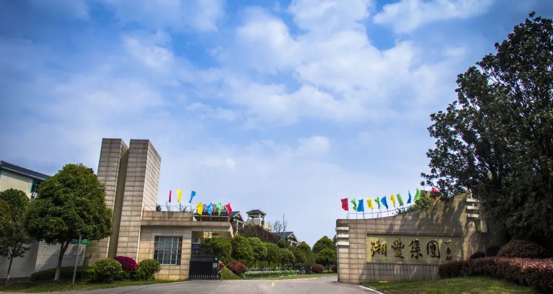 湘豐茶業(yè)集團獲認“2023年度農業(yè)農村信息化示范基地”！