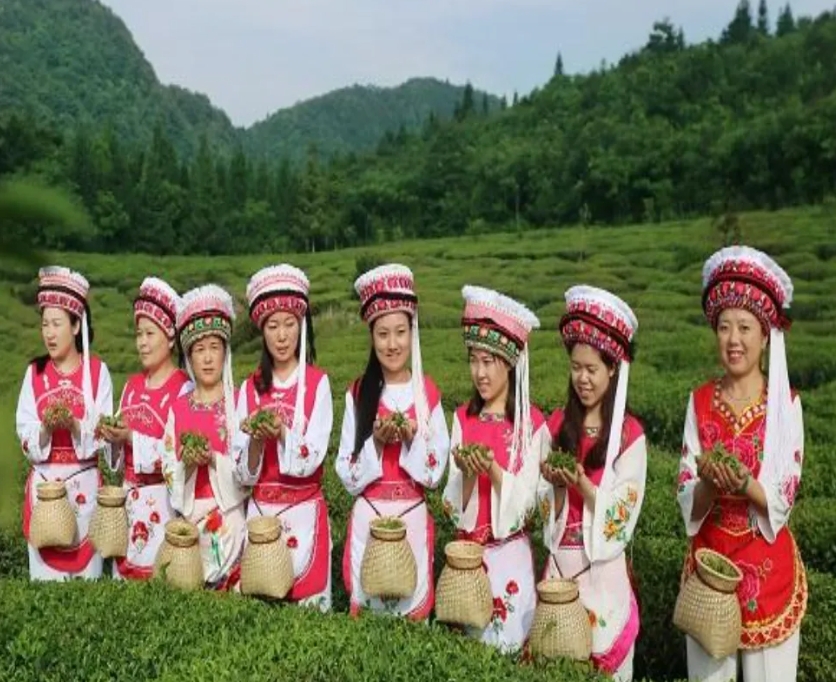 微信截圖_20240910100953.png 微信截圖_20240910100953.png